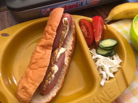 キャンプ飯♪カセットコンロで作るお手軽ホットドッグ